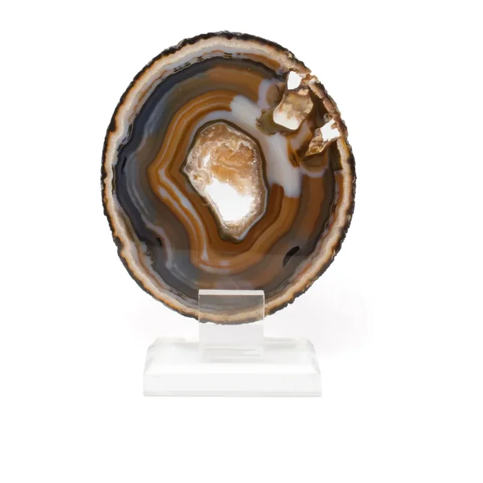 Agate Druze Slice On Acrylic Screw Stand – Densely Banded Blues & Browns with Exterior Geode Inclusions