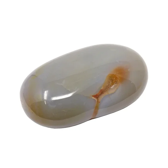 Agate Palm Stone – Blue Gray