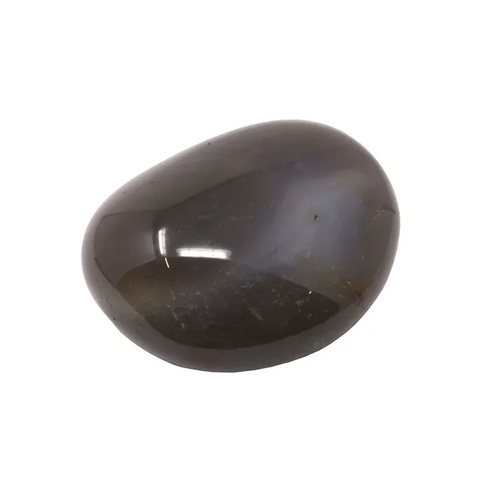 Agate Palm Stone with Bluish Hue