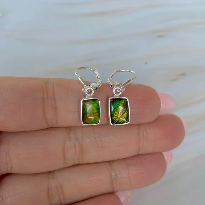 Ammolite Earring-(AML-E-152.)