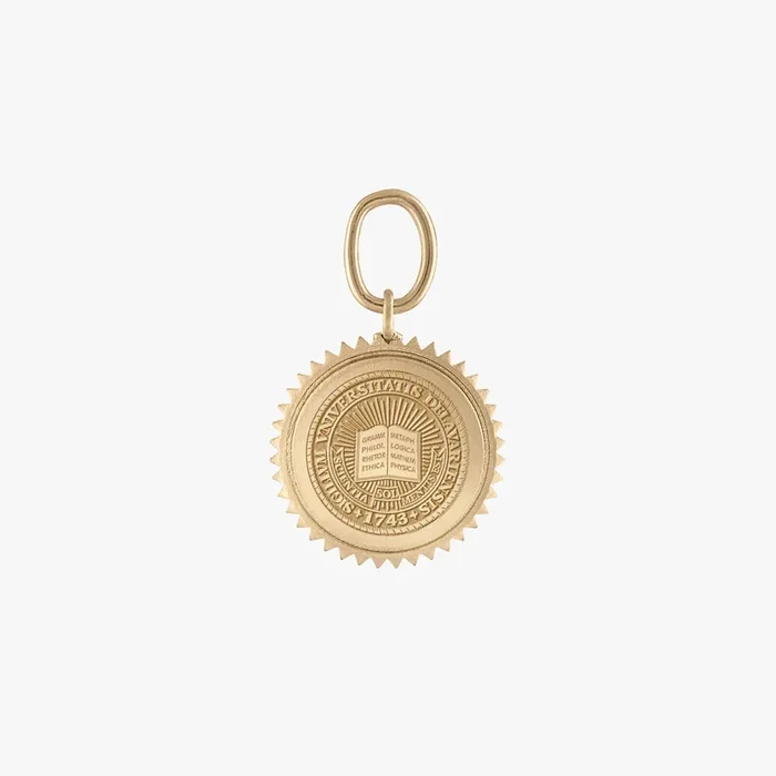 Delaware Sunburst Charm