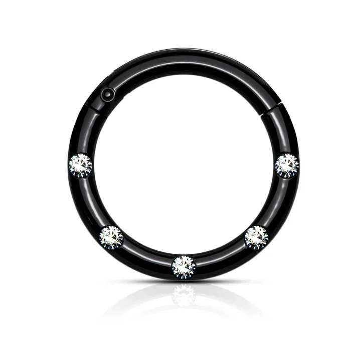 Five CZ Crystal Lined Hinged Segment Ring – Stainless Steel