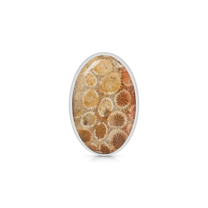 Fossilized Coral Adjustable Ring-(FSC-R-3.)
