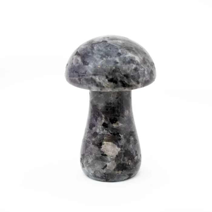 Larvikite Mushroom Carving