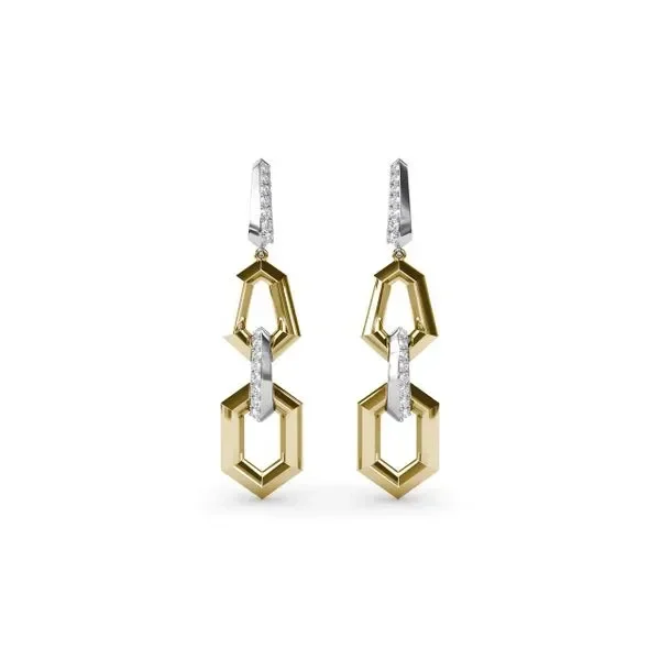 Lynq Bold Drop Earrings