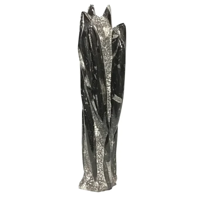 Orthoceras Fossil Sculpture from Morocco