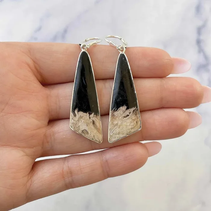 Petrified Wood Earring-(PTF-E-10.)