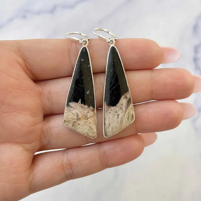 Petrified Wood Earring-(PTF-E-18.)
