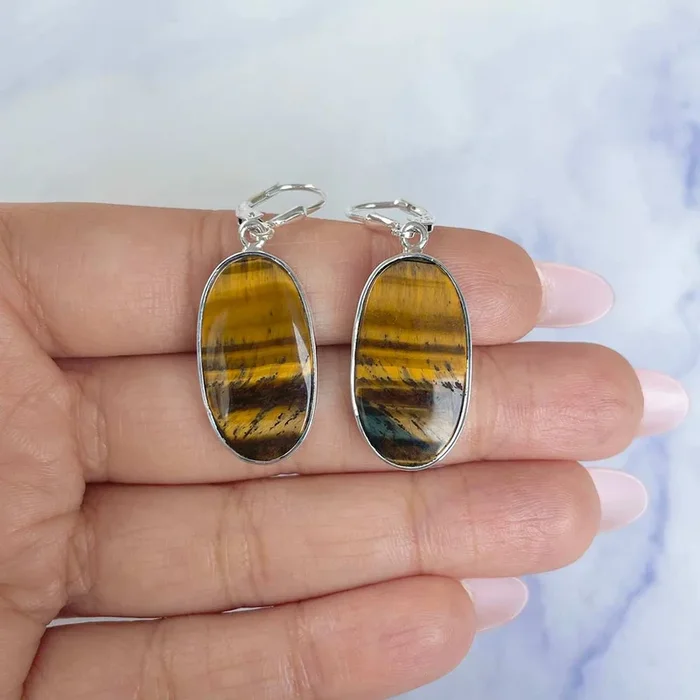 Tiger Eye Earring-(TGE-E-20.)